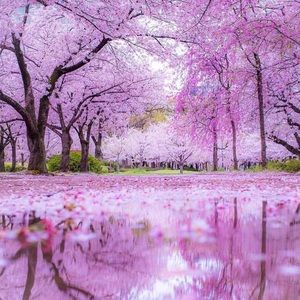 Meet your Posher, Kaitlyn